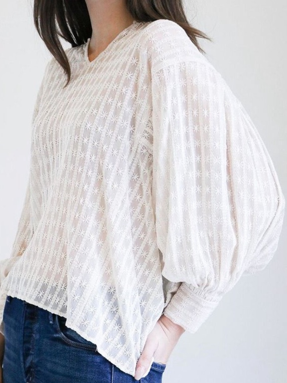Nili Lotan Ecru cream embroidered floral chiffon Arlo top balloon sleeve M